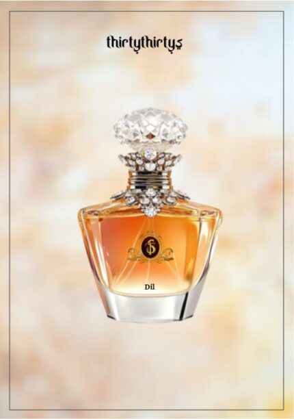 Dil Bold Woody Spicy 100ml - Men